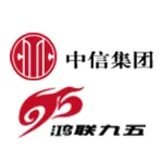 广东鸿联九五信息产业有限公司