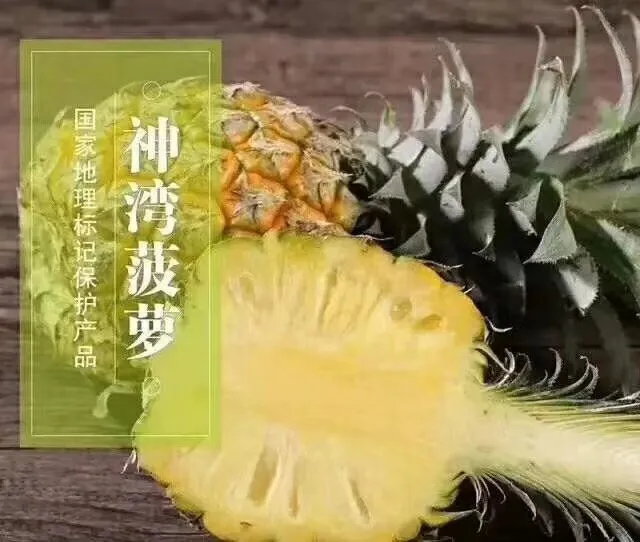 神湾菠萝