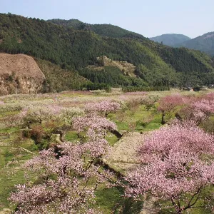 两江镇人民政府