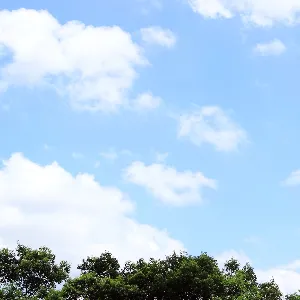 中共海丰县委组织部