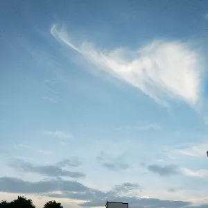 云安区高村镇人民政府