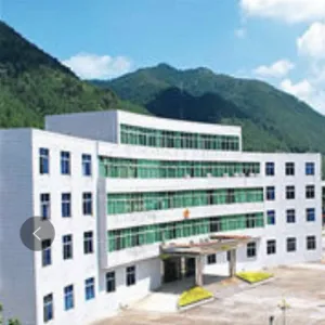 高要区小湘镇人民政府（共青团高要区小湘镇委员会）