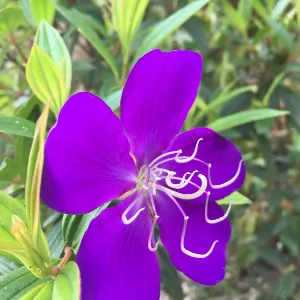 潮州市潮安区沙溪镇人民政府