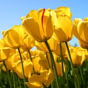 广州市花都区市场监督管理局