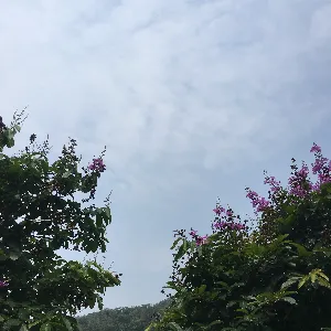 恩平市自然资源局