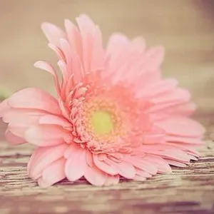 中山市民众街道浪网社区居民委员会