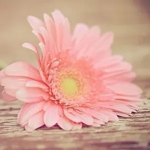 中山市民众街道食品药品监督所