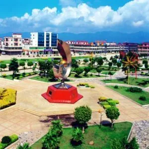 肇庆市高要区金利镇人民政府