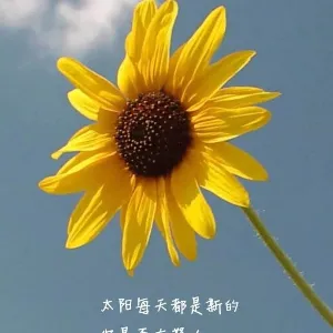 佛山市禅城区石湾镇街道金澜社区居民委员会