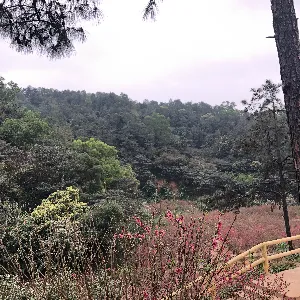 江门市中心血站