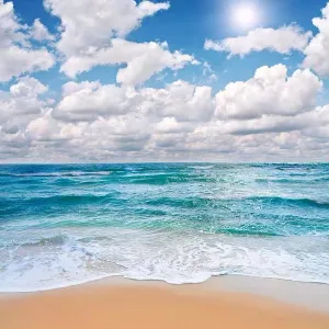 汕尾市城区机关事务管理办公室