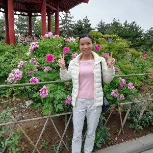 阳春市三甲镇人民政府