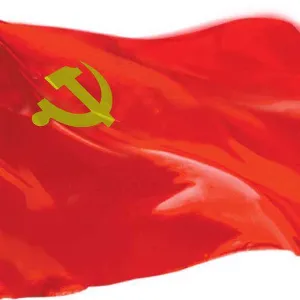 阳西县新墟镇人民政府