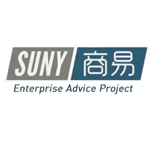 深圳市商易信息咨询有限公司