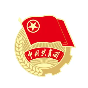 共青团惠东县委员会