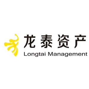 深圳市龙泰资产管理有限公司广州分公司