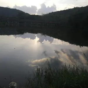 云浮市妇女联合会