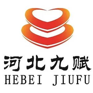 河北九赋软件技术有限公司