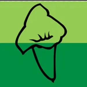 湘西宏成制药有限责任公司