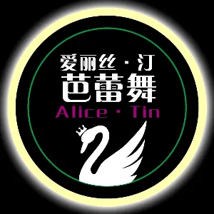 佛山市爱丽丝汀文化艺术传播有限公司