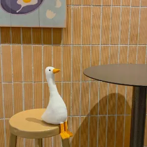 东莞市新泰粮食有限公司