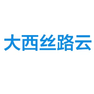 陕西大西丝路云互联网控股有限公司