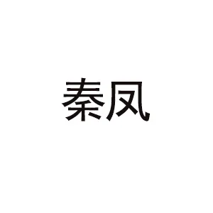 武功县秦凤电子商务有限公司