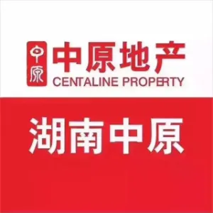 中原（湖南）房地产代理有限公司