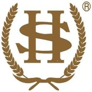 广东恒生会计师事务所有限公司