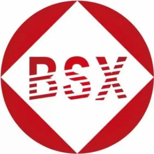 深圳市百顺兴财务咨询有限公司