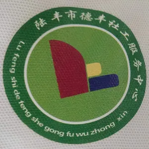 陆丰市德丰社工服务中心