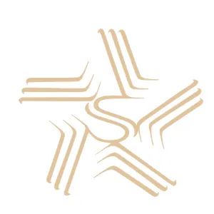 佛山市南艺之星艺术培训有限公司