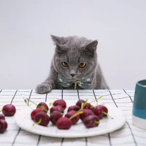 海丰县公路事务中心