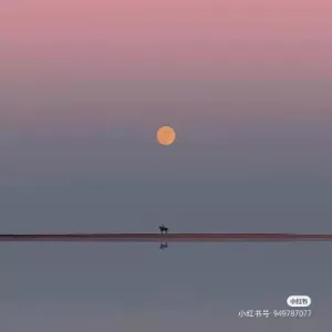 中国共产主义青年团兰州市西固区委员会