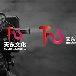 广州天东文化传媒有限公司