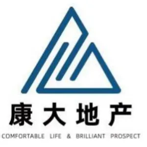 广州康大房地产有限公司