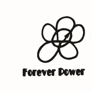 深圳市鹏源电子有限公司