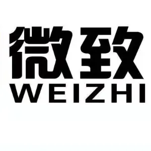 东莞市微致金属电子科技有限公司