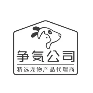 深圳争气商贸有限公司