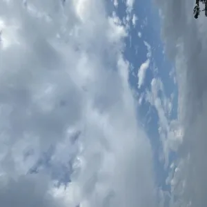 高州产业转移工业园管理委员会