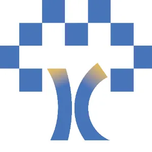 东莞科技创新金融集团有限公司