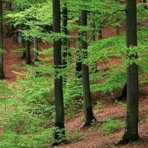 连南瑶族自治县涡水镇人民政府