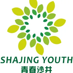沙井街道团工委