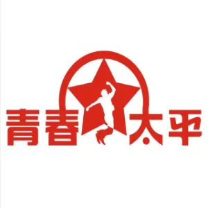 共青团阜新市太平区委