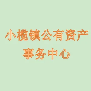 中山市小榄镇公有资产事务中心
