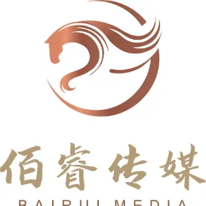 广东佰睿传媒有限公司