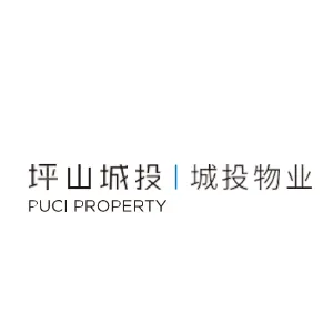 深圳市坪山城投智慧物业有限公司