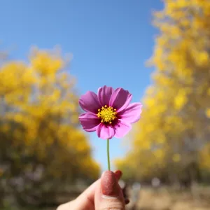 惠州市卫生健康局