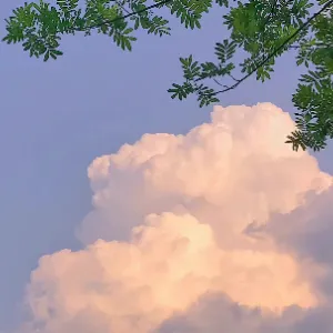 深圳市深汕特别合作区应急管理局