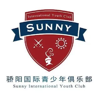 深圳市骄阳国际青少年体育拓展有限公司